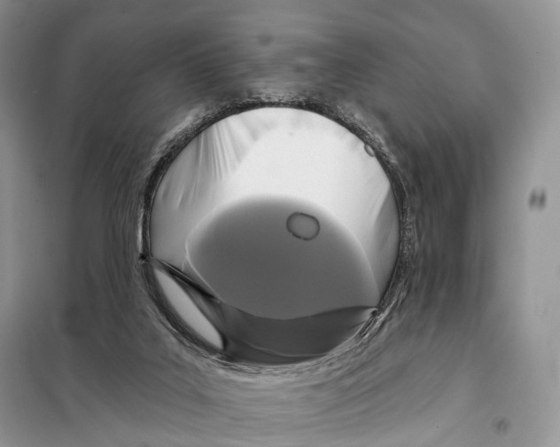 X0000097910019200804111125