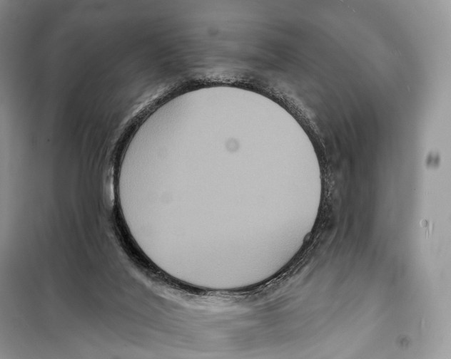 X0000097910020200804111125