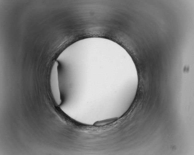 X0000097910021200804111125