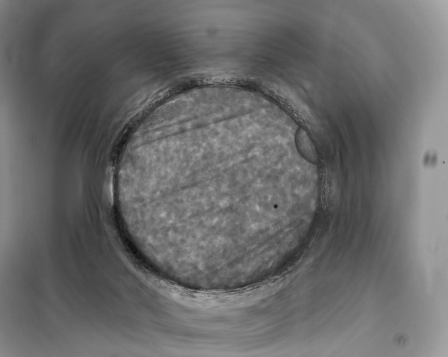 X0000097910022200804111125