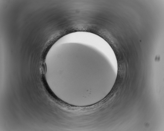 X0000097910023200804111125