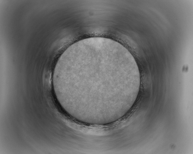 X0000097910024200804111125