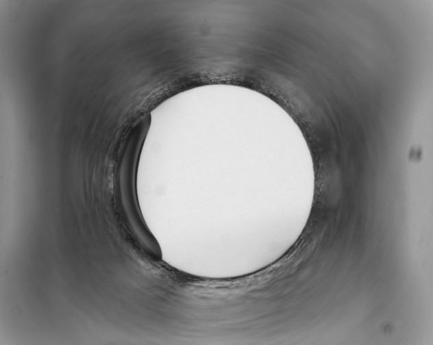 X0000097910025200804111125