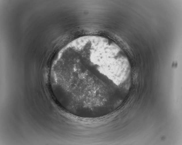 X0000097910026200804111125