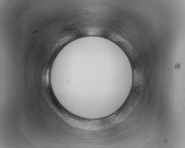 X0000097910028200804111125