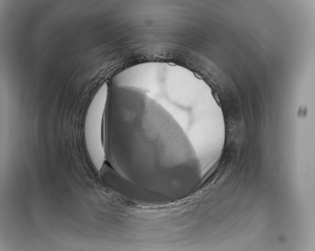 X0000097910029200804111125