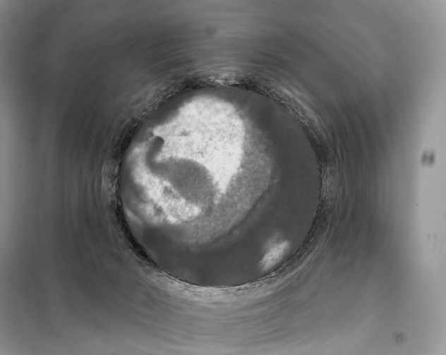 X0000097910030200804111125