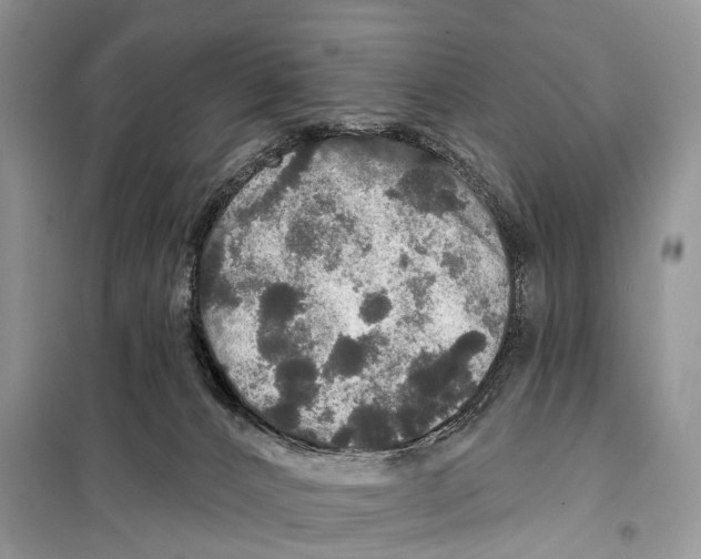 X0000097910032200804111125