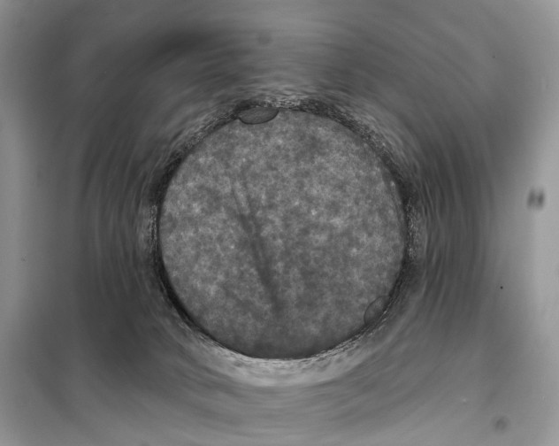 X0000097910034200804111125