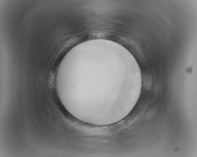 X0000097910036200804111125