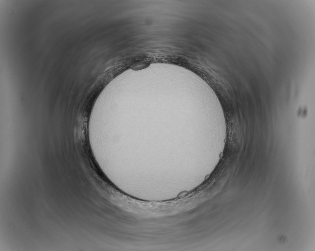 X0000097910038200804111125