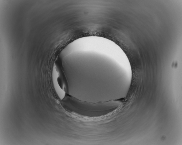 X0000097910039200804111125