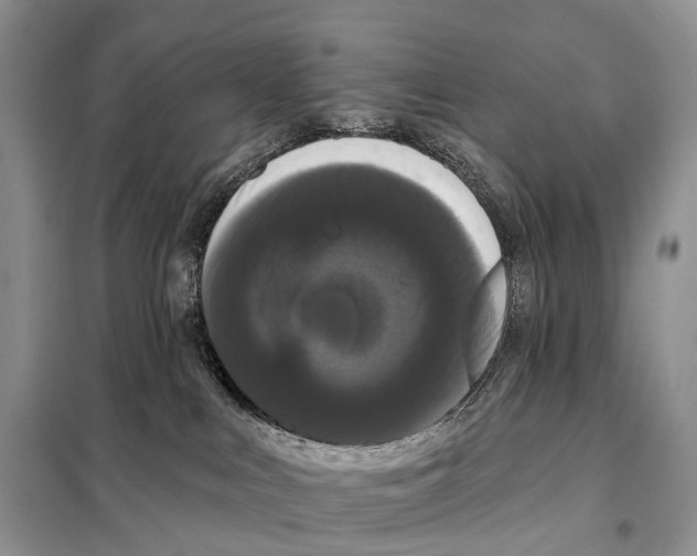 X0000097910043200804111125