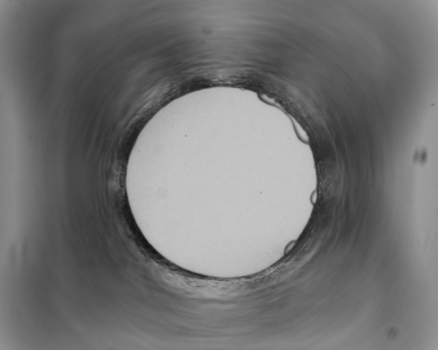 X0000097910044200804111125