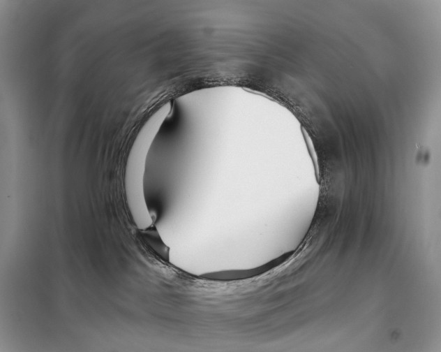 X0000097910045200804111125