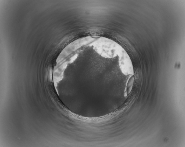 X0000097910046200804111125