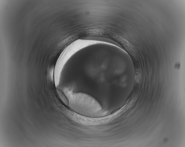 X0000097910047200804111125