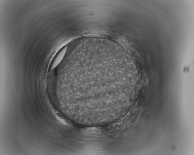 X0000097910050200804111124