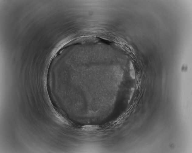 X0000097910051200804111124