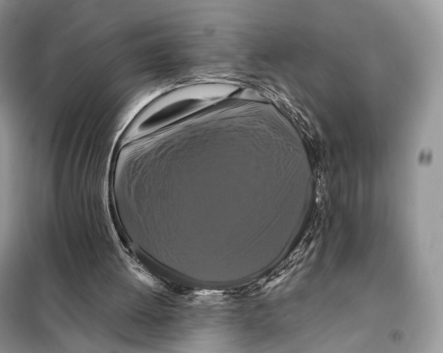 X0000097910052200804111124