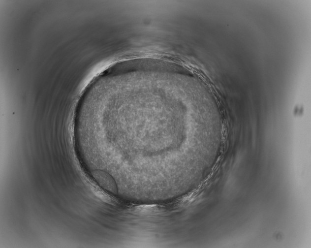 X0000097910054200804111124