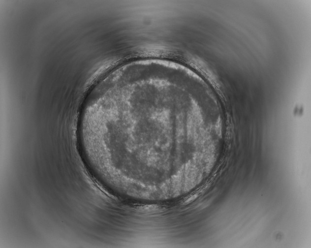 X0000097910058200804111124