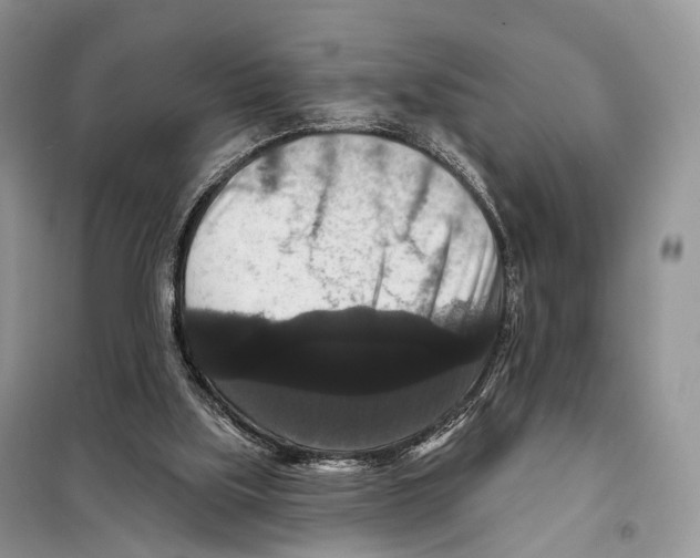 X0000097910059200804111124