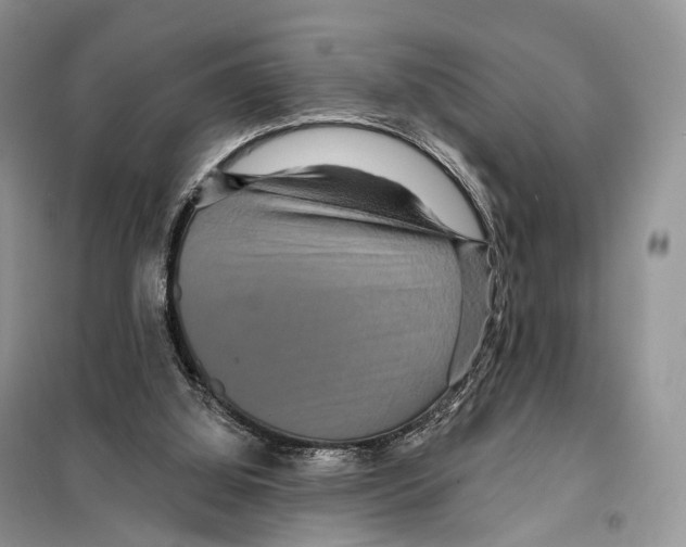 X0000097910060200804111124