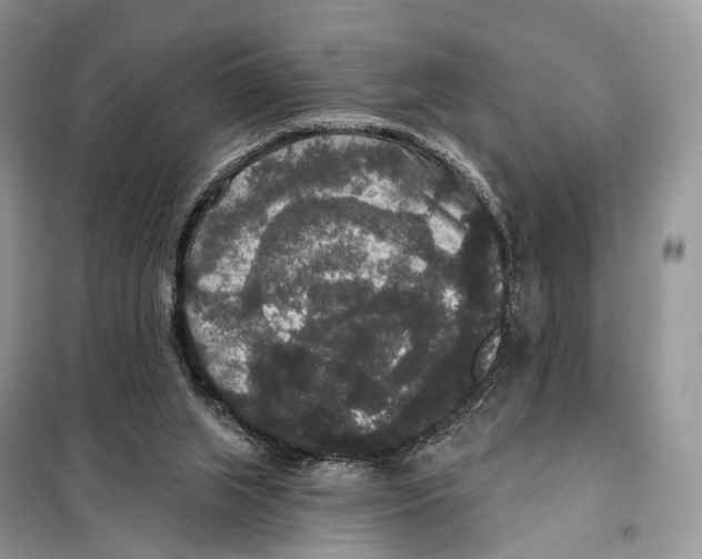 X0000097910063200804111124