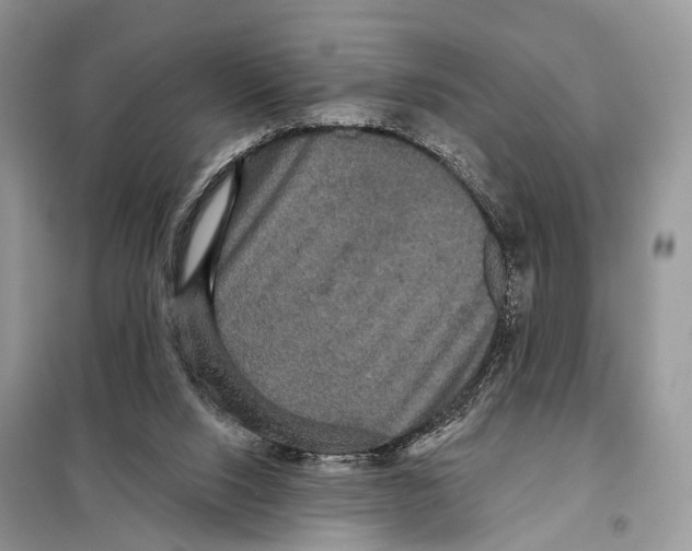 X0000097910064200804111124