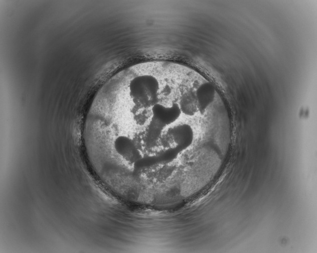 X0000097910065200804111124