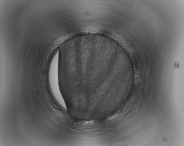 X0000097910068200804111124