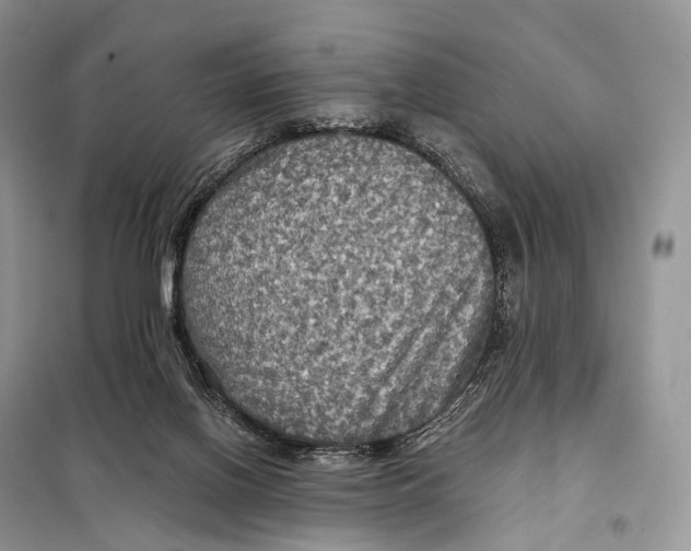 X0000097910070200804111124