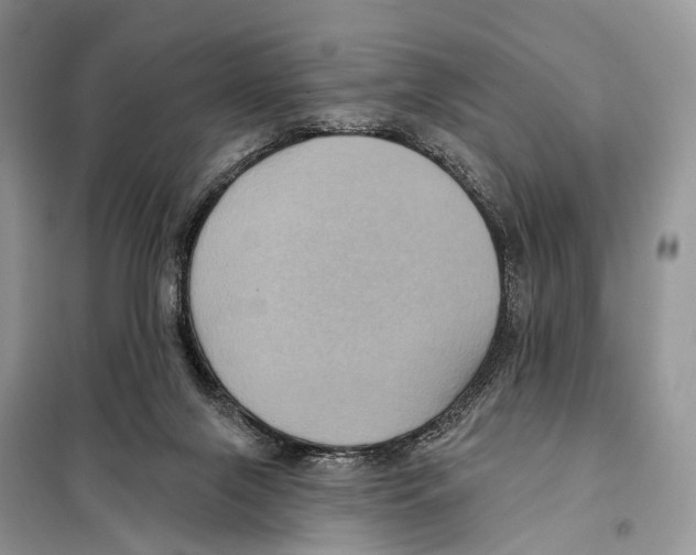 X0000097910071200804111124