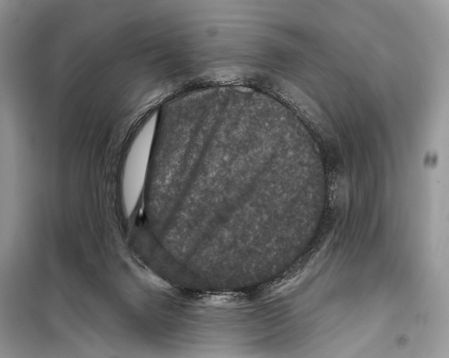 X0000097910072200804111124