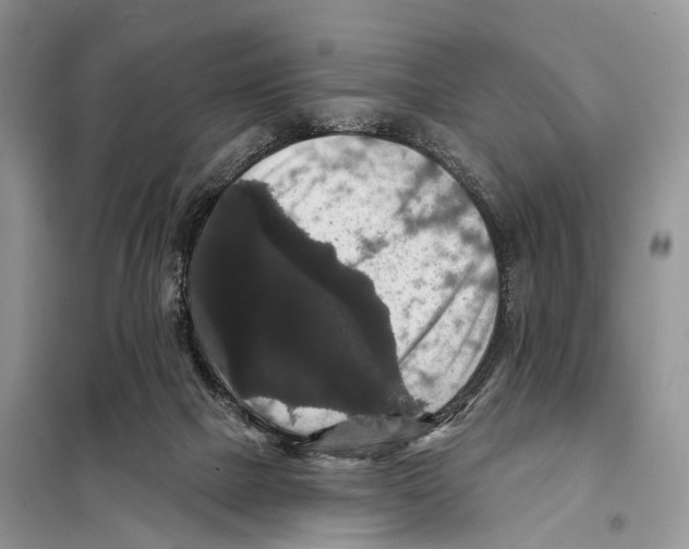 X0000097910073200804111124