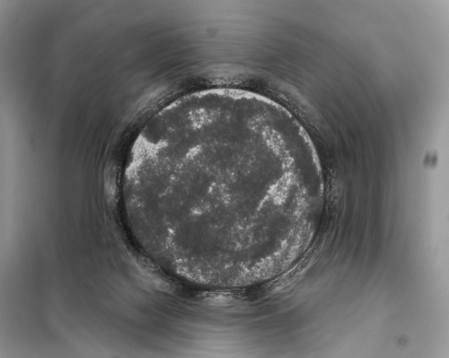 X0000097910074200804111124