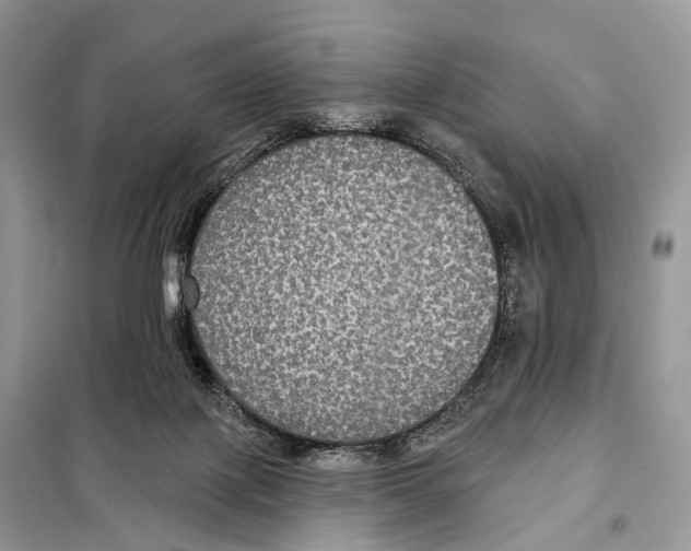 X0000097910075200804111124