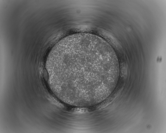 X0000097910077200804111124