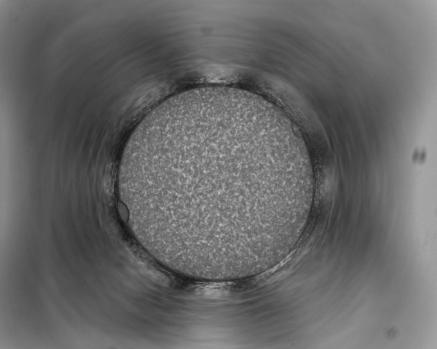 X0000097910078200804111124