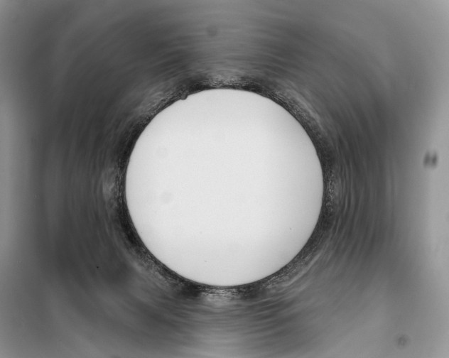 X0000097910079200804111124