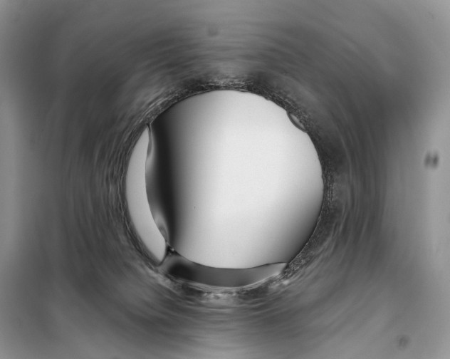 X0000097910084200804111124