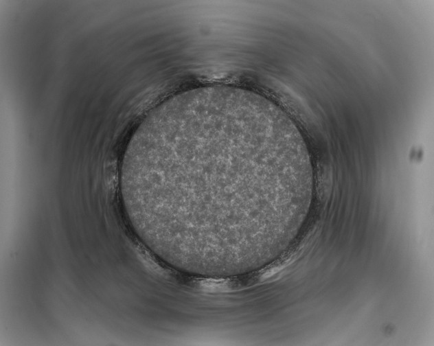 X0000097910085200804111124