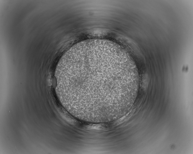 X0000097910086200804111124