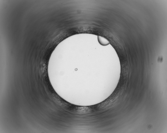 X0000097910087200804111124