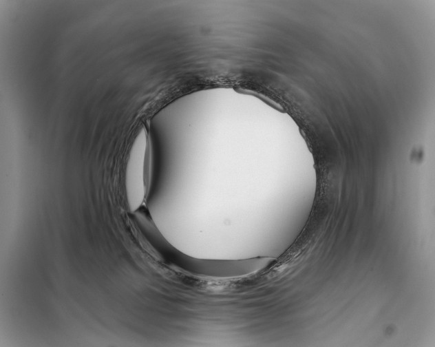 X0000097910088200804111124