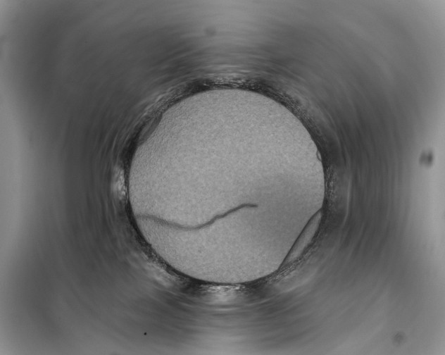 X0000097910089200804111124