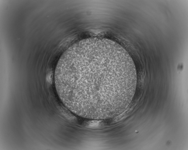 X0000097910090200804111124