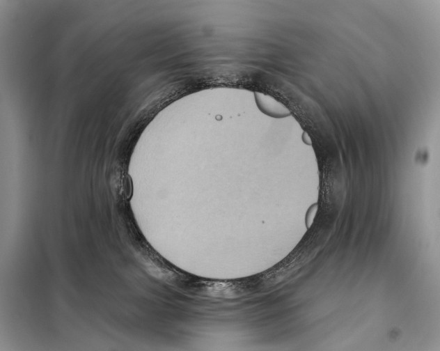 X0000097910091200804111124