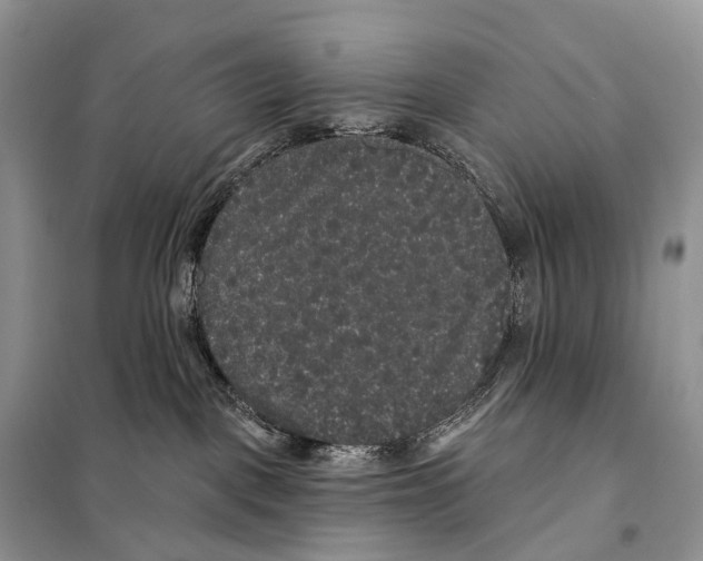 X0000097910093200804111124